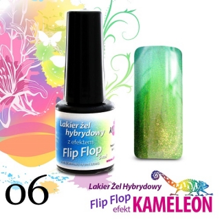 Gél lak FLIP FLOP 6ml, č. 06